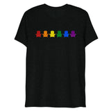 Adirondack Pride (Triblend)-Triblend T-Shirt-Swish Embassy