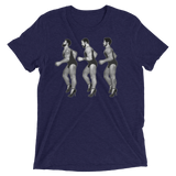 All The Single Lads (Triblend)-Triblend T-Shirt-Swish Embassy