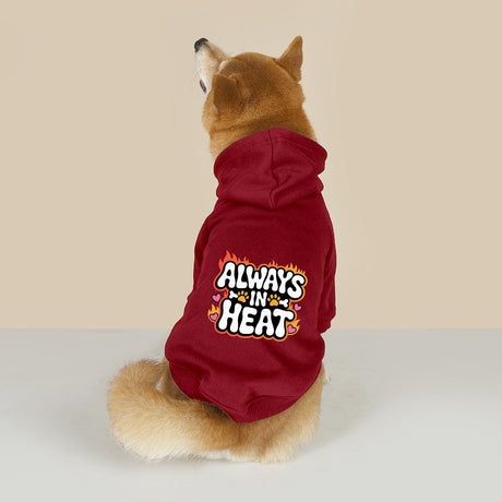 Always in Heat (Pet Hoodie)-Pet Hoodie-Swish Embassy