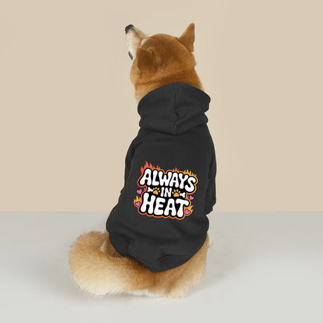 Always in Heat (Pet Hoodie)-Pet Hoodie-Swish Embassy