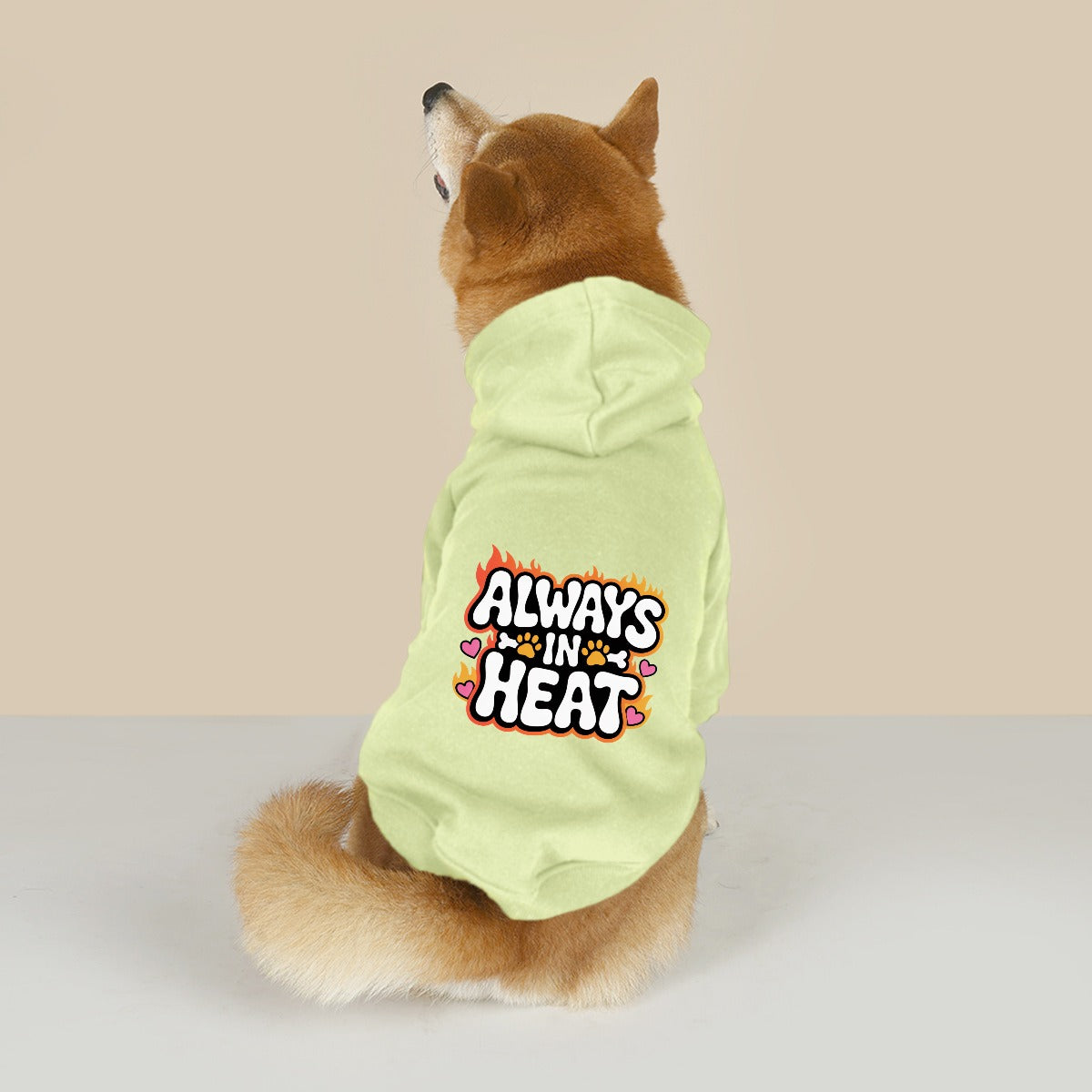 Always in Heat (Pet Hoodie)-Pet Hoodie-Swish Embassy