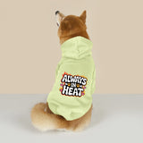 Always in Heat (Pet Hoodie)-Pet Hoodie-Swish Embassy