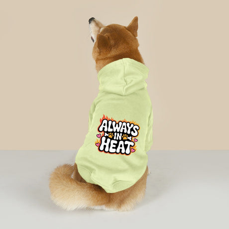 Always in Heat (Pet Hoodie)-Pet Hoodie-Swish Embassy