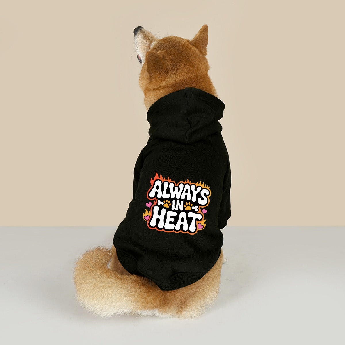 Always in Heat (Pet Hoodie)-Pet Hoodie-Swish Embassy