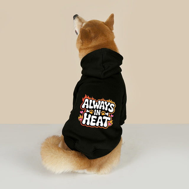 Always in Heat (Pet Hoodie)-Pet Hoodie-Swish Embassy