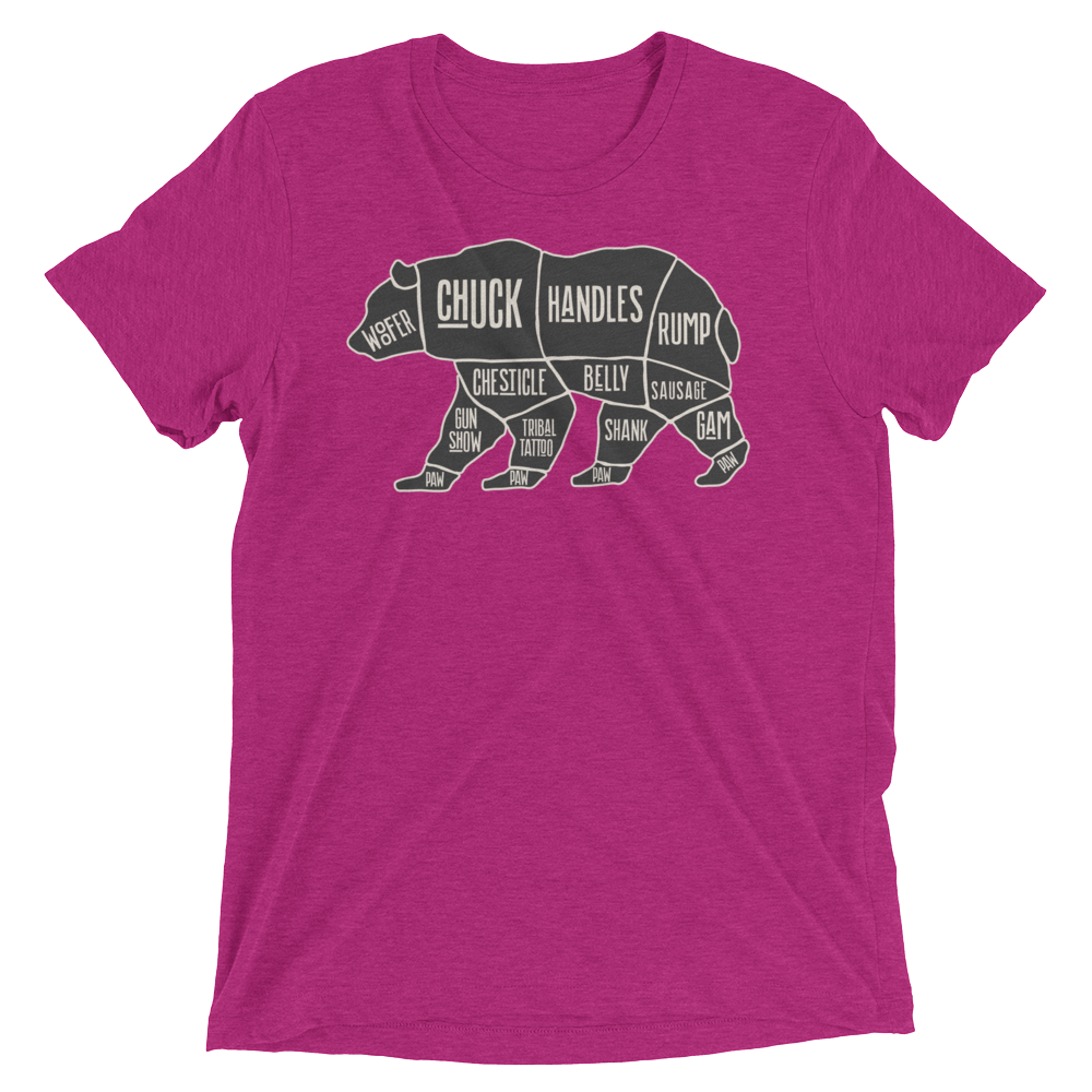 Bear's Anatomy (Triblend)-Triblend T-Shirt-Swish Embassy