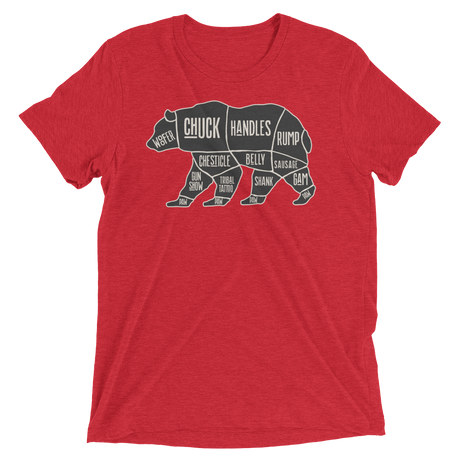 Bear's Anatomy (Triblend)-Triblend T-Shirt-Swish Embassy