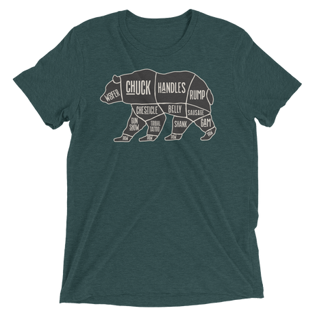 Bear's Anatomy (Triblend)-Triblend T-Shirt-Swish Embassy