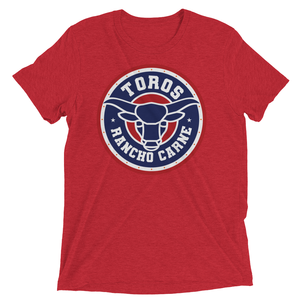 Brr It's Cold in Here (Triblend)-Triblend T-Shirt-Swish Embassy