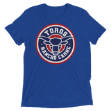 Brr It's Cold in Here (Triblend)-Triblend T-Shirt-Swish Embassy