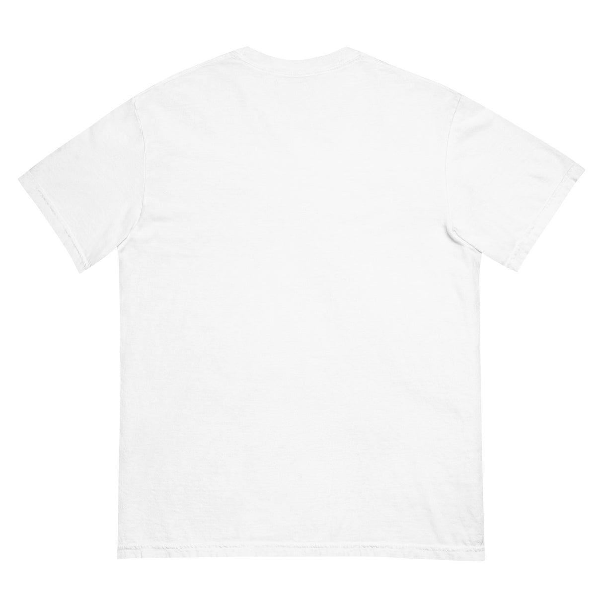 Czech Point (Boxy Tee)-Boxy T-Shirt-Swish Embassy