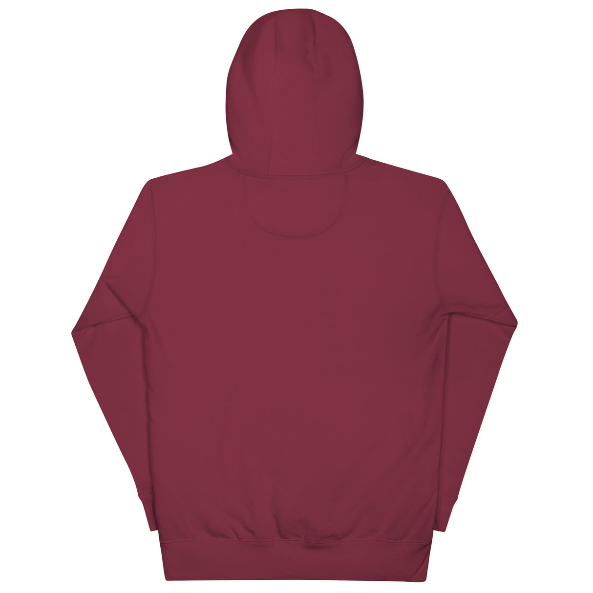 Czech Point (Hoodie)-Hoodie-Swish Embassy
