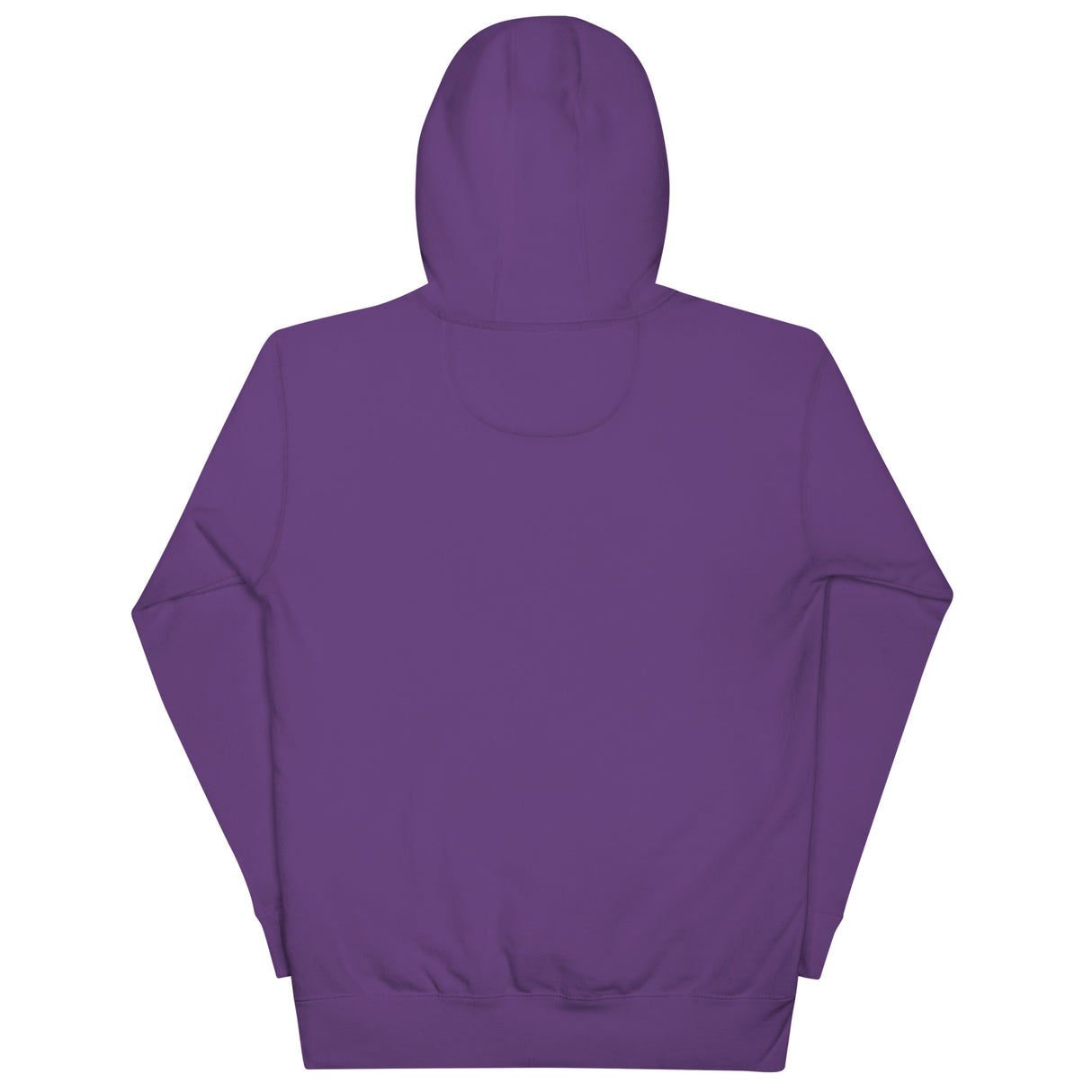Czech Point (Hoodie)-Hoodie-Swish Embassy