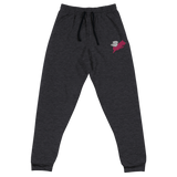 Flying Pig (Sweatpants)-Sweatpants-Swish Embassy