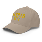 Harris Walz (Flexfit Hat)-Headwear-Swish Embassy