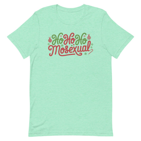 Ho Ho Homosexual-T-Shirts-Swish Embassy