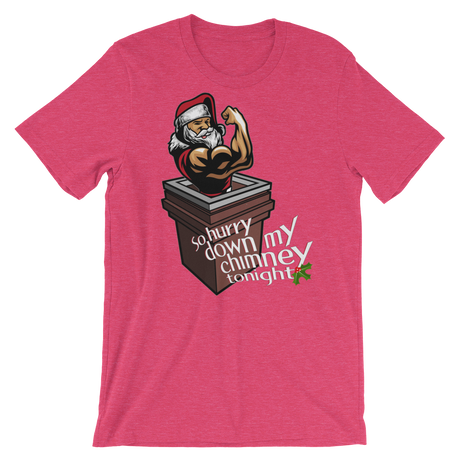 Hurry Down the Chimney-T-Shirts-Swish Embassy