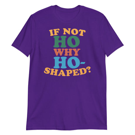 If Not Ho Why Ho-Shaped? (Text Shirt)-Text Shirt-Swish Embassy