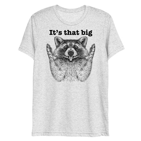 It's that big (Triblend)-Triblend T-Shirt-Swish Embassy