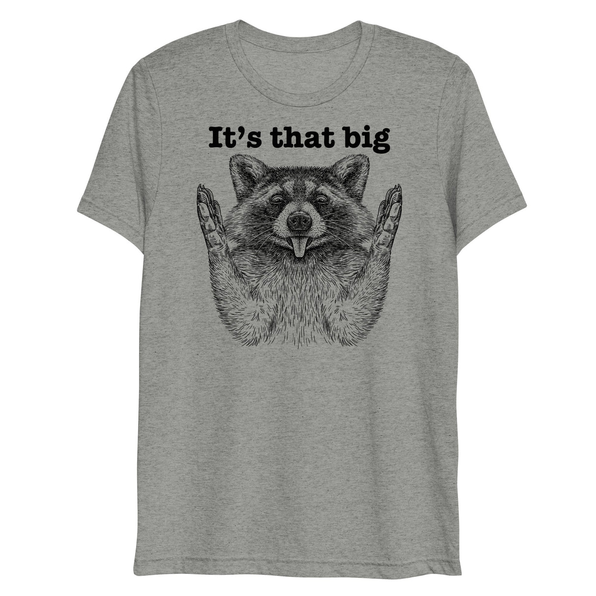 It's that big (Triblend)-Triblend T-Shirt-Swish Embassy