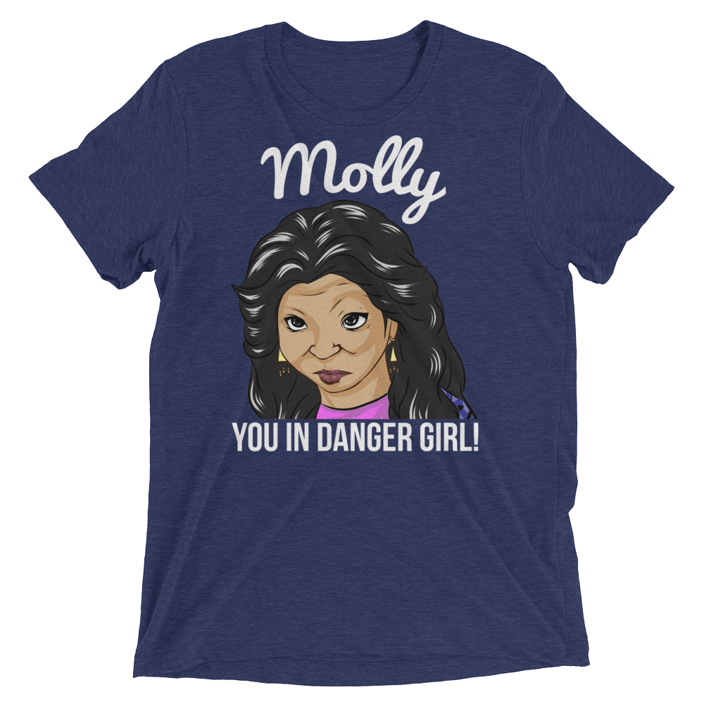 Molly You in Danger (Triblend)-Triblend T-Shirt-Swish Embassy