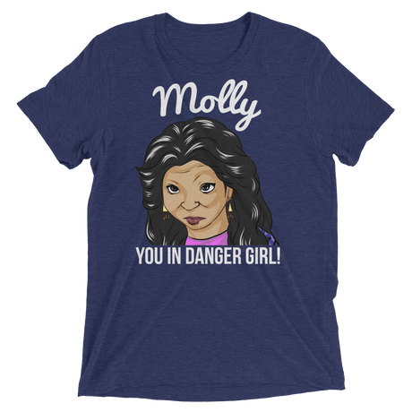 Molly You in Danger (Triblend)-Triblend T-Shirt-Swish Embassy