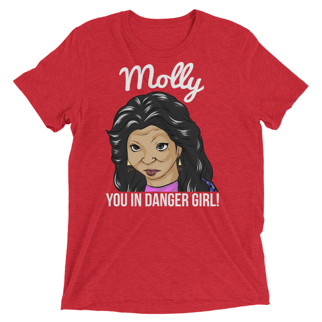 Molly You in Danger (Triblend)-Triblend T-Shirt-Swish Embassy