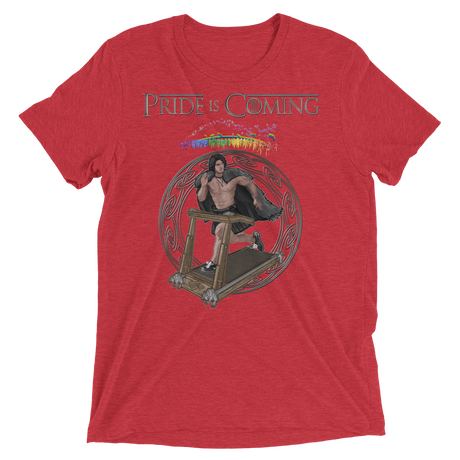 Pride is Coming (Triblend)-Triblend T-Shirt-Swish Embassy