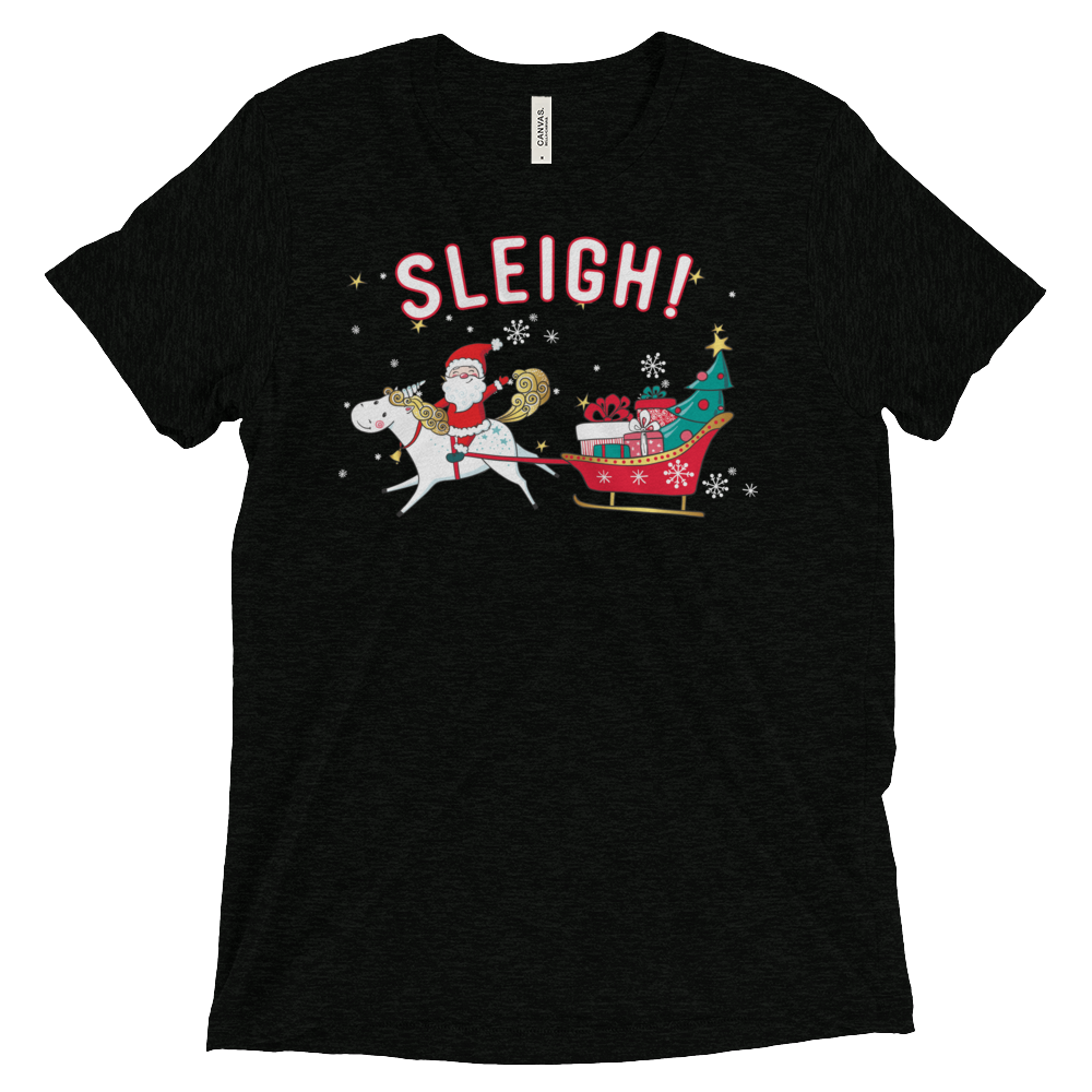 Sleigh! (Triblend)-Triblend T-Shirt-Swish Embassy