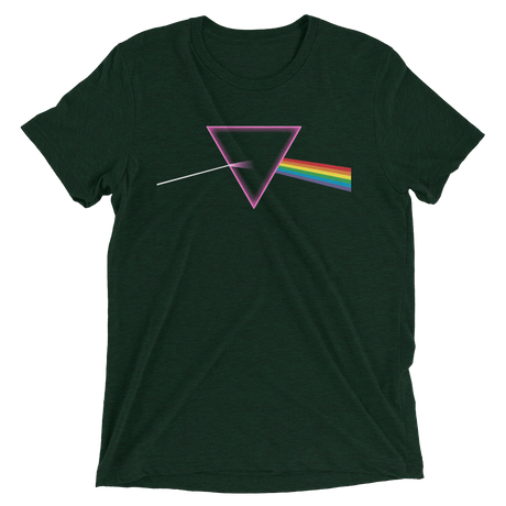 The Pride Prism (Triblend)-Triblend T-Shirt-Swish Embassy