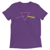 The Pride Prism (Triblend)-Triblend T-Shirt-Swish Embassy