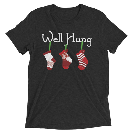 Well Hung Stockings (Triblend)-Triblend T-Shirt-Swish Embassy