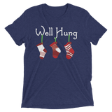 Well Hung Stockings (Triblend)-Triblend T-Shirt-Swish Embassy