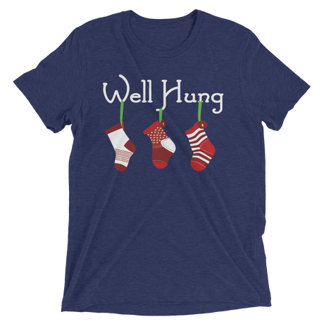 Well Hung Stockings (Triblend)-Triblend T-Shirt-Swish Embassy