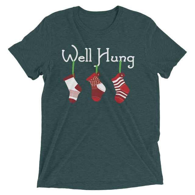 Well Hung Stockings (Triblend)-Triblend T-Shirt-Swish Embassy