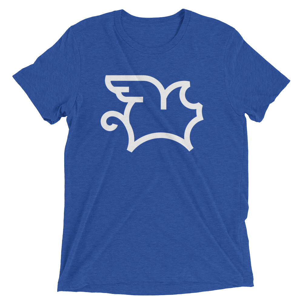 When Pigs Fly (Triblend)-Triblend T-Shirt-Swish Embassy