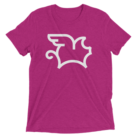 When Pigs Fly (Triblend)-Triblend T-Shirt-Swish Embassy