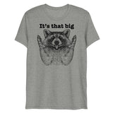 It's that big (Triblend)-Triblend T-Shirt-Swish Embassy