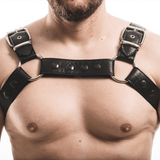 Amsterdam (Harness)-Leather-Swish Embassy