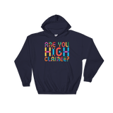 Are You High Clairee? (Hoodie)-Hoodie-Swish Embassy