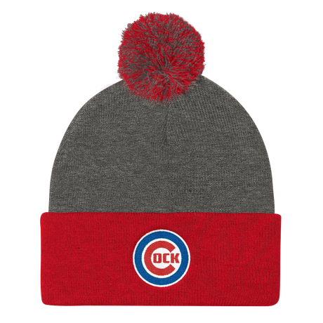 Chicago (Beanie)-Beanie-Swish Embassy