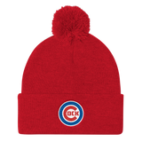 Chicago (Beanie)-Beanie-Swish Embassy