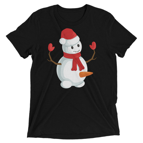 Do You Wanna Build A Snowman? (Retail Triblend)-Triblend T-Shirt-Swish Embassy