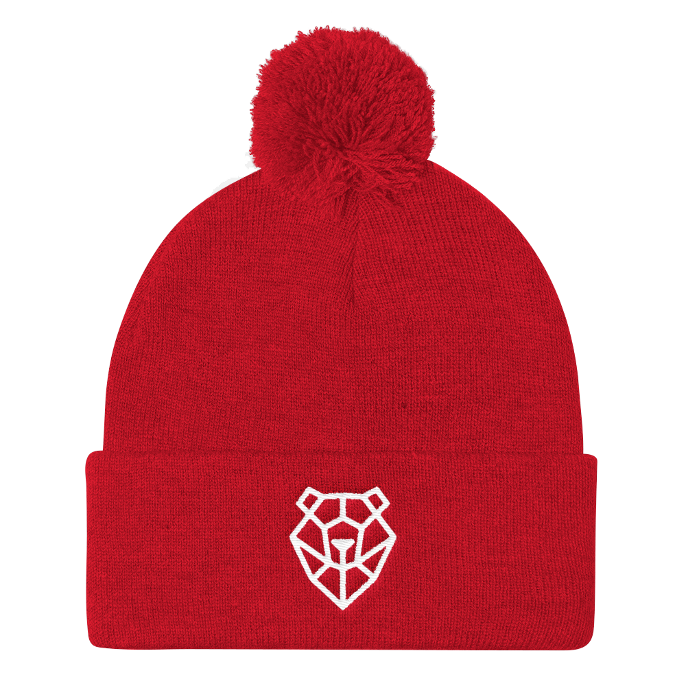 Flat Bear (Beanie)-Beanie-Swish Embassy