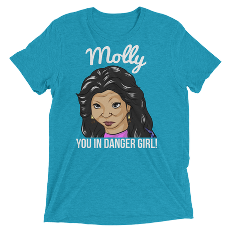 Molly You in Danger (Retail Triblend)-Triblend T-Shirt-Swish Embassy