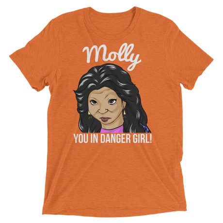 Molly You in Danger (Retail Triblend)-Triblend T-Shirt-Swish Embassy