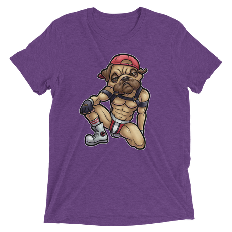 Nasty Pug (Retail Triblend)-Triblend T-Shirt-Swish Embassy