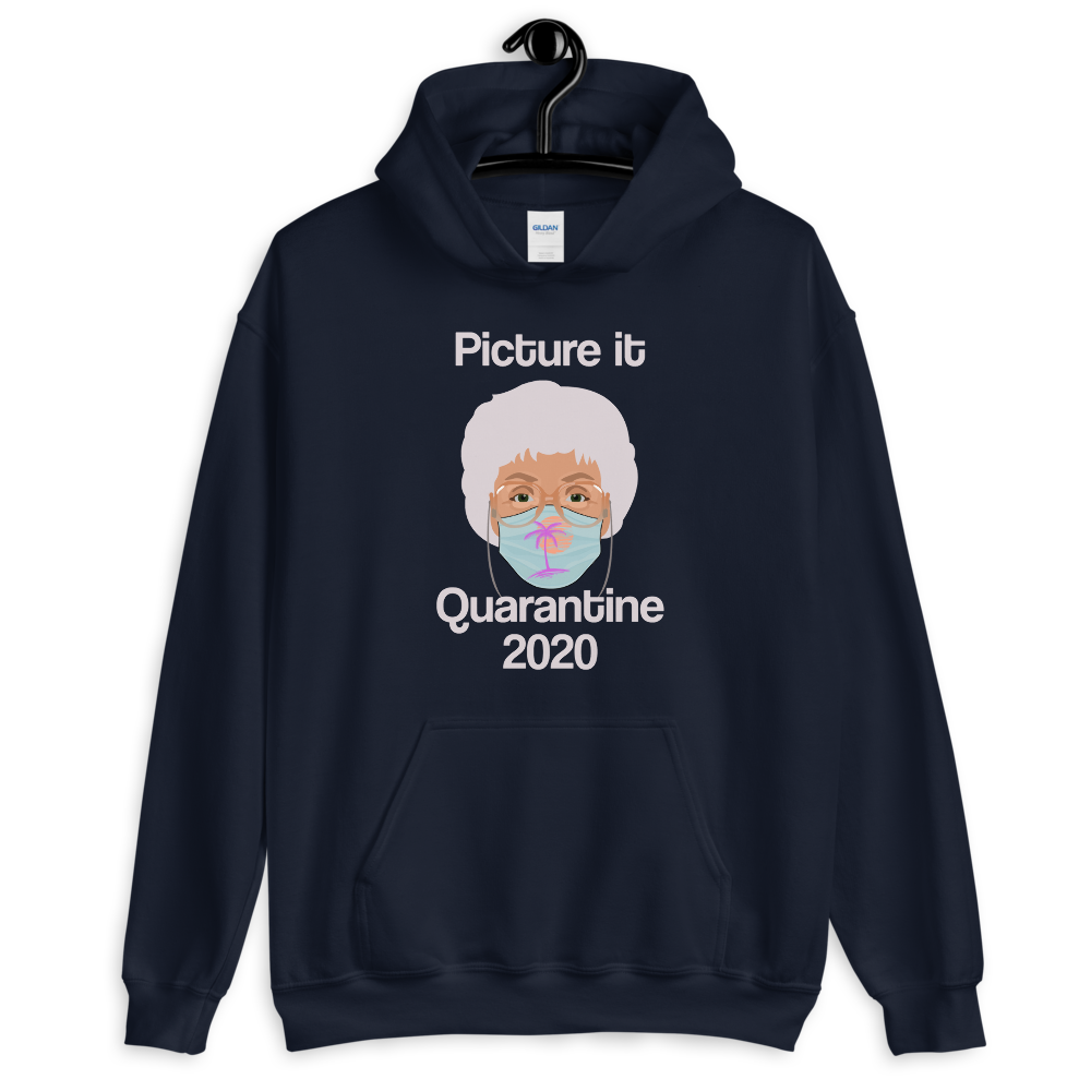 Picture It Quarantine 2020 (Hoodie)-Hoodie-Swish Embassy