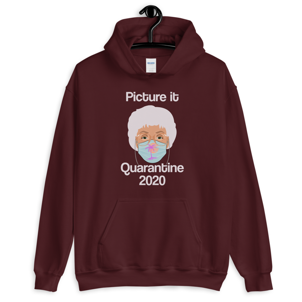 Picture It Quarantine 2020 (Hoodie)-Hoodie-Swish Embassy