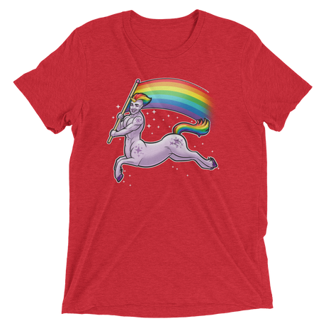 Pride Centaur (Retail Triblend)-Triblend T-Shirt-Swish Embassy